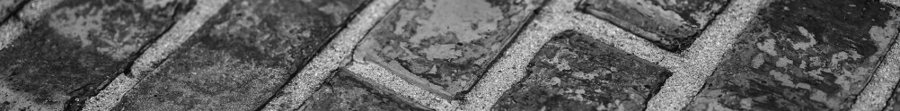 Image of the Indianapolis Motor Speedway Finish Line-yard of bricks