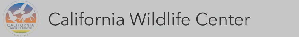 California Wildlife Center's Home Page