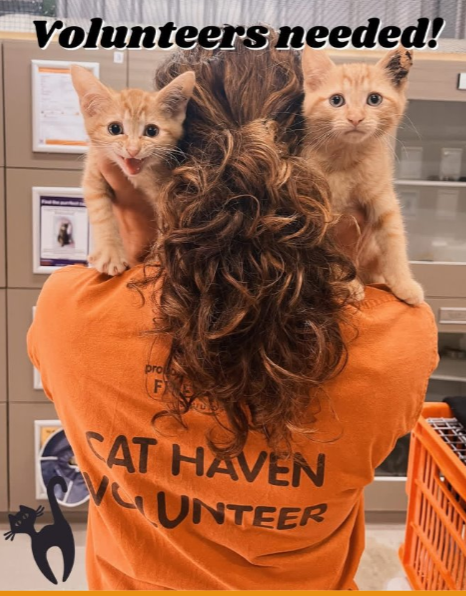 Volunteers Needed!