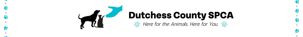 Dutchess County SPCA's Banner