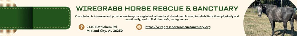 Wiregrass Horse Rescue & Sanctuary's Home Page