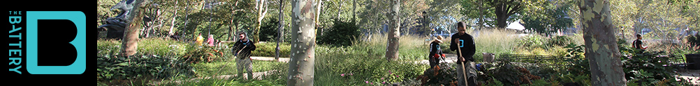 The Battery Conservancy's Banner