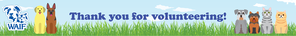 Thank you for volunteering!