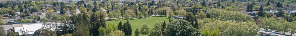 City of Pleasanton 's Home Page