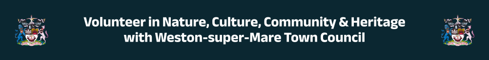 Weston-super-Mare Town Council's Banner