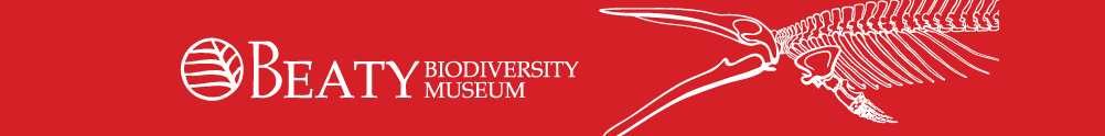 A red banner with an outlined blue whale skeleton in white, white circular logo, and "Beaty Biodiversity Museum"