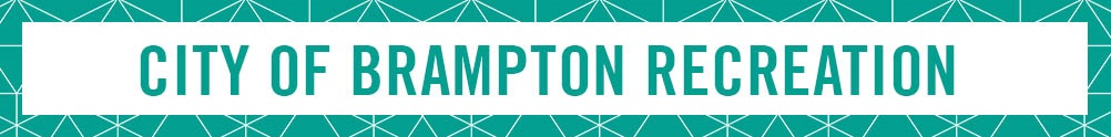 City Of Brampton Volunteer Jobs