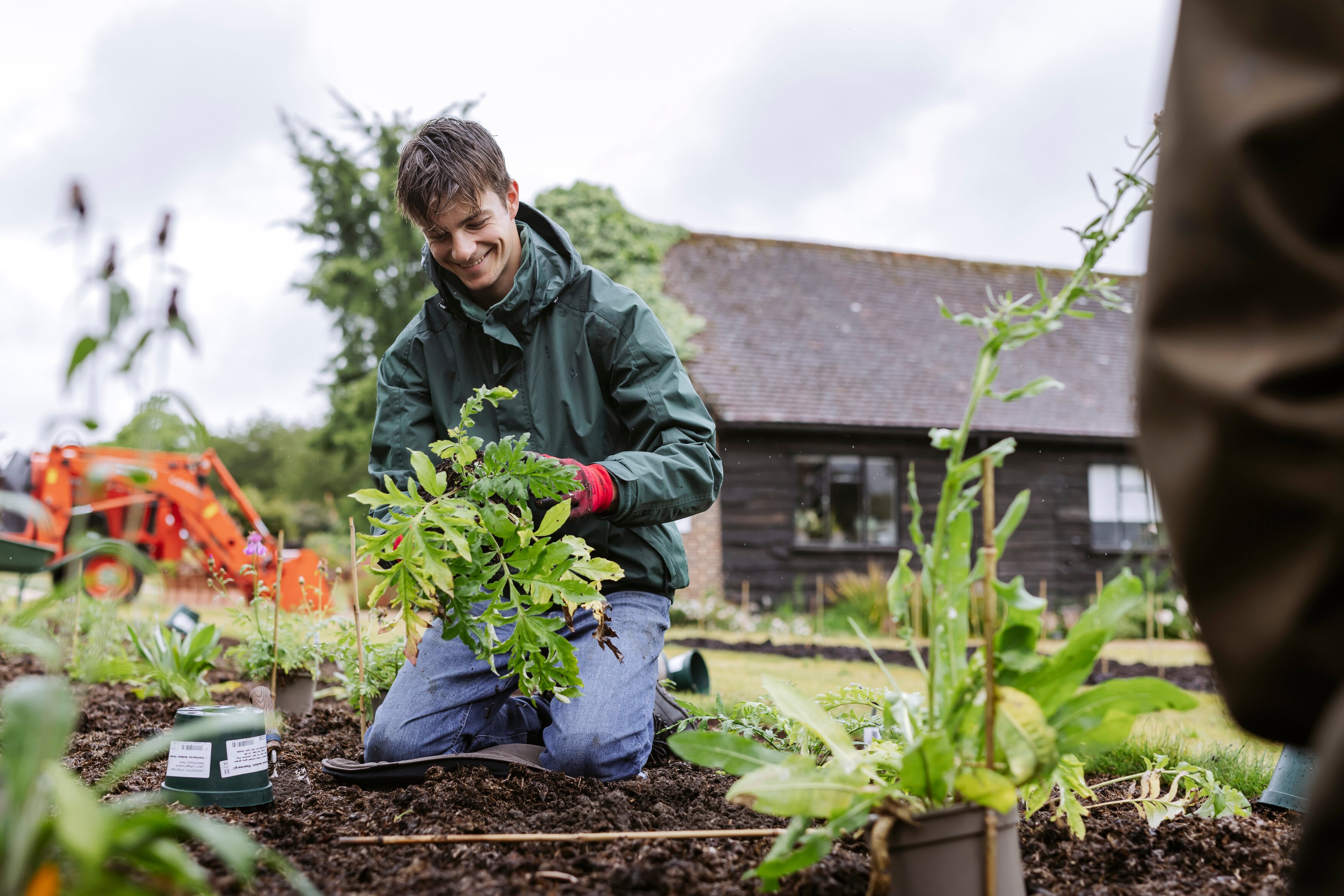 Person planting into garden border