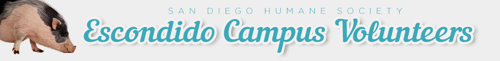  SDHS - Escondido Campus's Banner