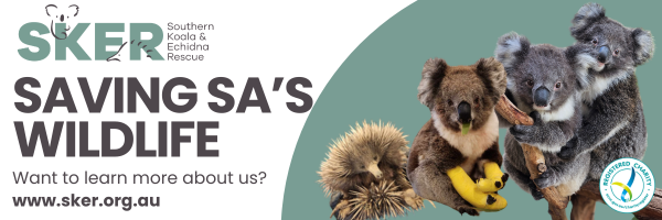 Saving SA's Wildlife