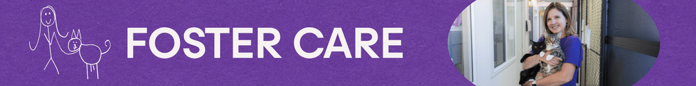 Foster Care's Home Page