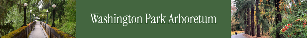 Washington Park Arboretum's Home Page