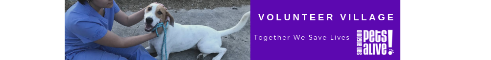 San Antonio Pets Alive!'s Home Page