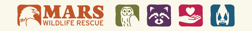 MARS Wildlife Rescue Centre's Home Page