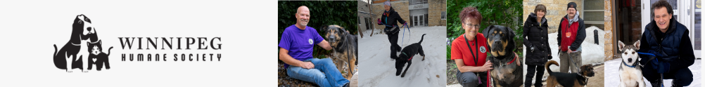 Dog Programs Team's Home Page