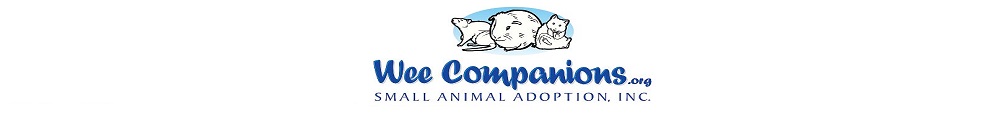 Wee Companions Small Animal Adoption, Inc.'s Home Page