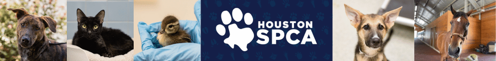 Houston SPCA's Home Page
