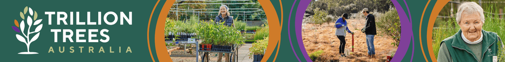 Trillion Trees Australia Inc's Banner