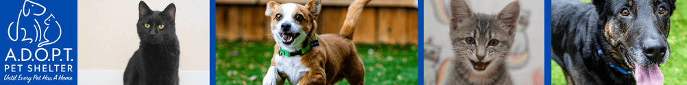 A.D.O.P.T. Pet Shelter's Home Page