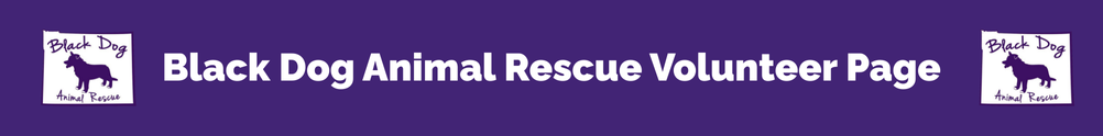 Black Dog Animal Rescue's Home Page