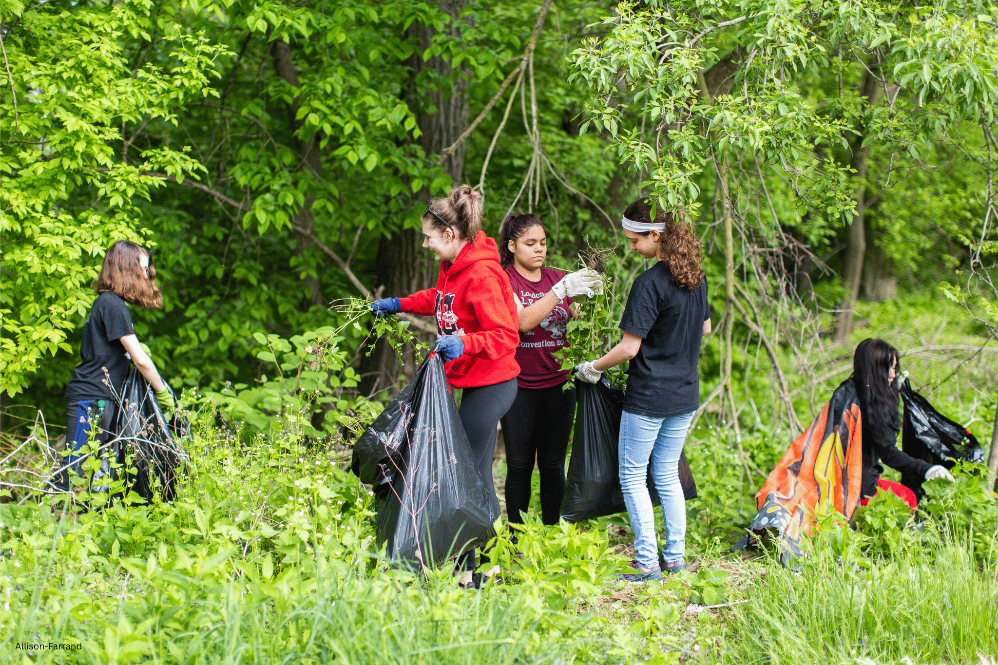 Photo of volunteers from the Black River Audubon Society picking up trash by Allison Farrand