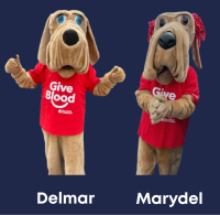 Delmar the Blood Bank of Delmarva Blood Hound mascot
