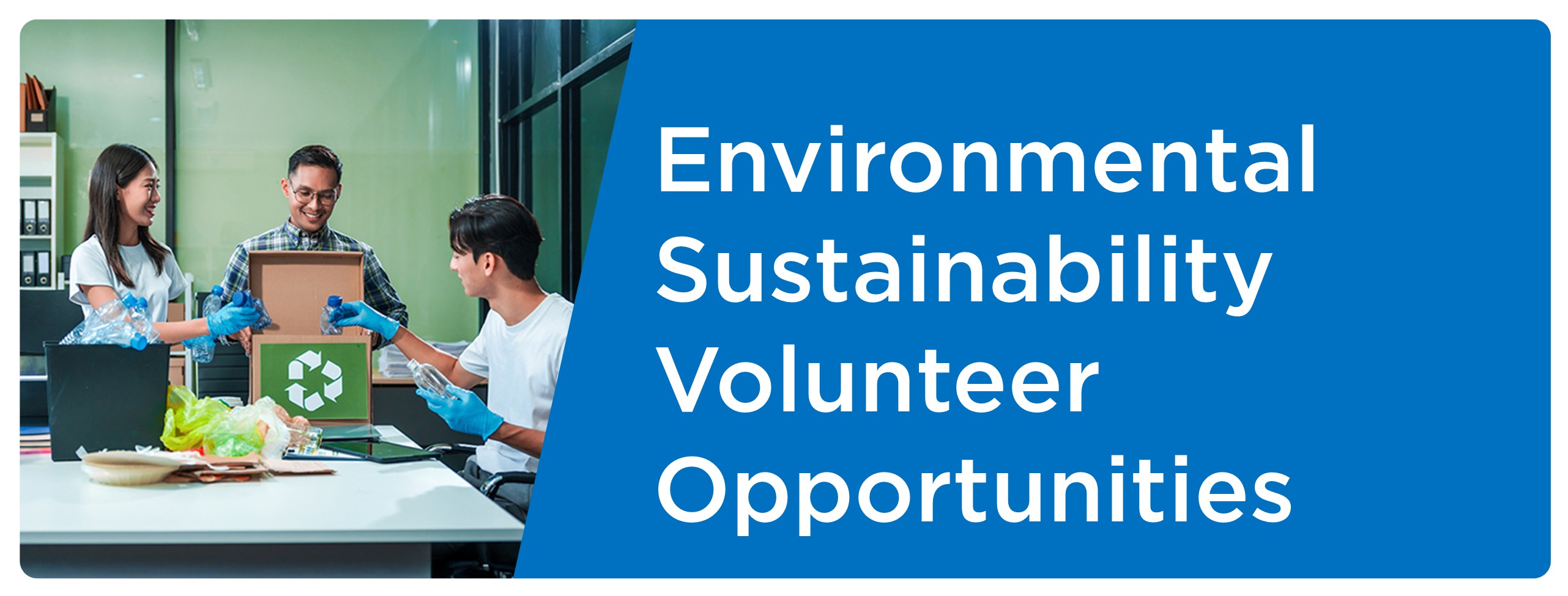Cover photo for the Environmental sustainability page. This image is decorative.
