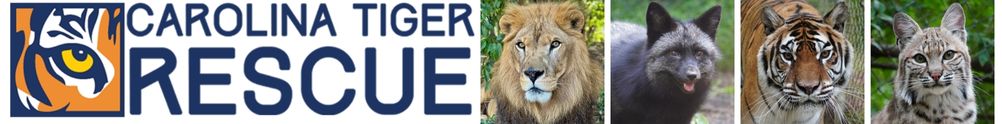 Carolina Tiger Rescue's Banner