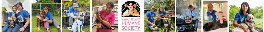 Hawaii Island Humane Society's Banner