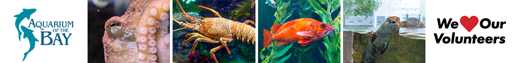 Aquarium of the Bay's Banner