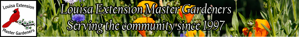Extension Master Gardener Volunteer Program - Louisa's Banner