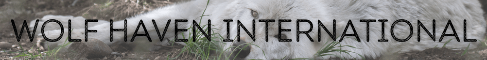 Wolf Haven International's Banner