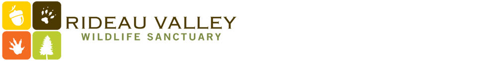 Rideau Valley Wildlife Sanctuary's Banner