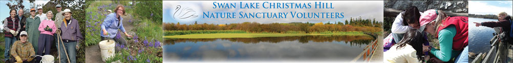 Swan Lake Christmas Hill Nature Sanctuary's Home Page