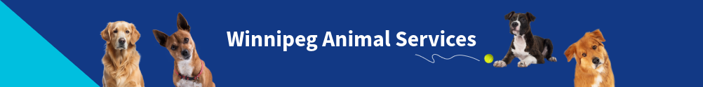 Winnipeg Animal Services Agency's Home Page