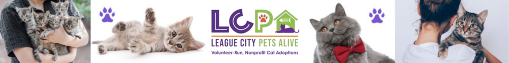 League City Pets Alive's Banner
