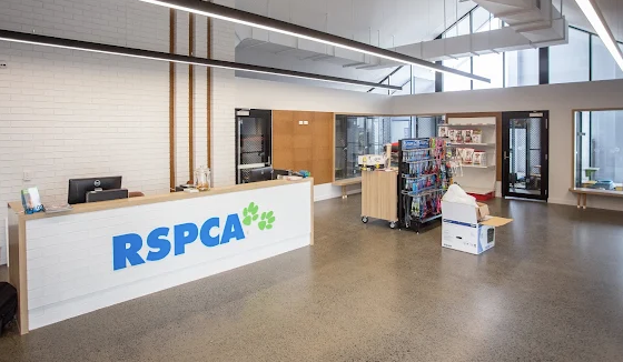 Inside the reception area of the main RSPCA Bundaberg building