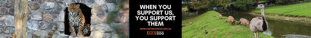 Dartmoor Zoo's Home Page