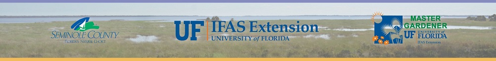 Seminole County's Banner