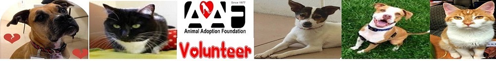 Animal Adoption Foundation's Banner