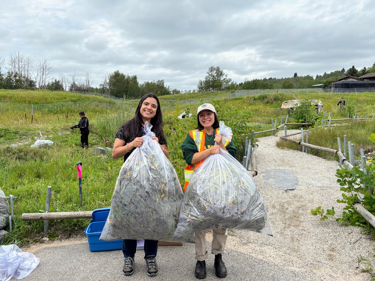 Two volunteers holding large garbage bags filled with weeds
