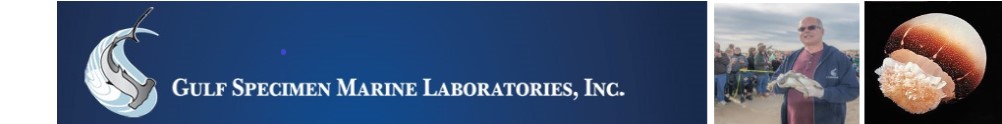 Gulf Specimen Marine Lab & Aquarium's Home Page