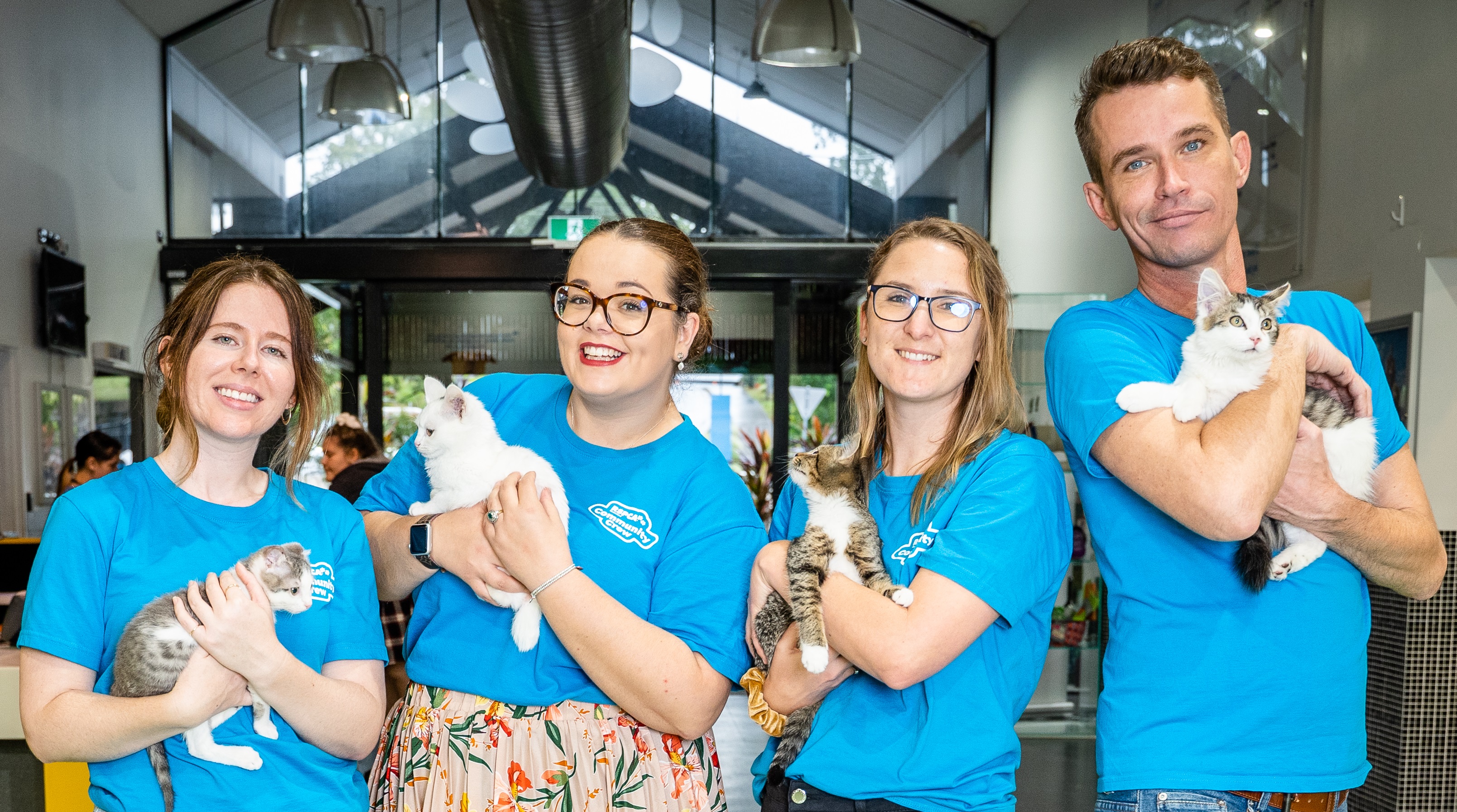 Four volunteers each holding a kitten