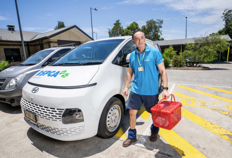 A volunteer carrying an animal basket in front of an RSPCA van