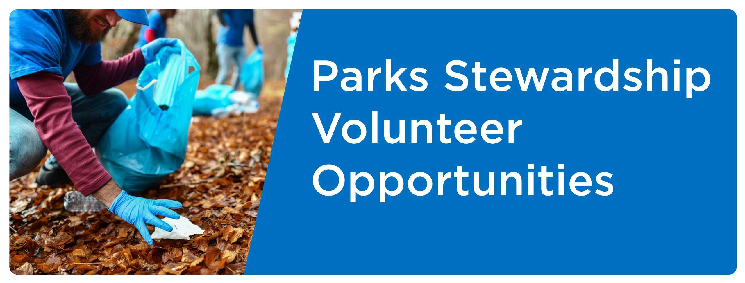 Cover image of the Parks Stewardship volunteer opportunities. The image shows a man with a beard picking up litter in a park.