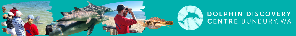 Dolphin Discovery Centre's Home Page